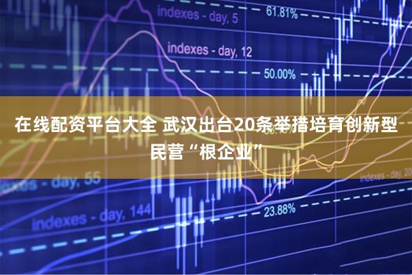 在线配资平台大全 武汉出台20条举措培育创新型民营“根企业”
